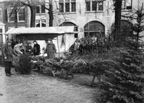 501619 Afbeelding van de kerstbomenmarkt op het Janskerkhof te Utrecht.